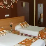阿尔米兰特酒店 *