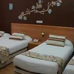 阿尔米兰特酒店 酒店 *